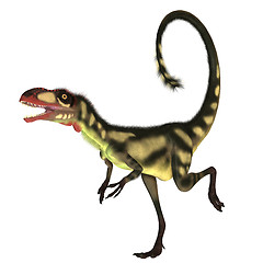 Image showing Dilong Dinosaur01