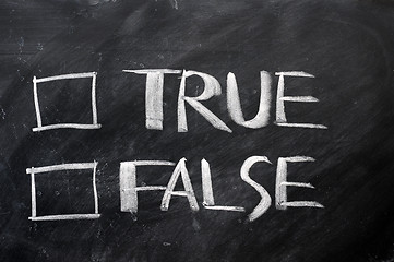 Image showing True and false check boxes