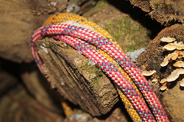 Image showing climbing rope