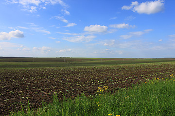 Image showing countryside at spring