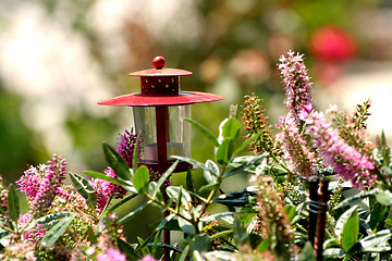 Image showing Candle light in garden