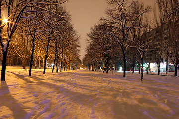 Image showing avenue at winter