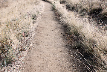 Image showing path