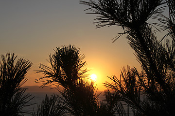 Image showing sunrise