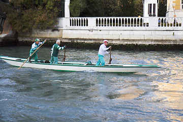 Image showing Team of rowers