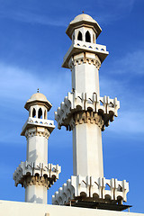 Image showing Two minarets