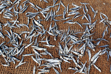 Image showing Dry fish