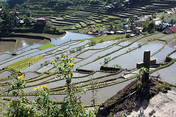 Image showing Cross and rice