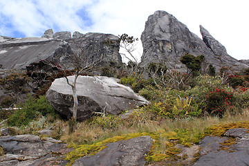 Image showing Rocks