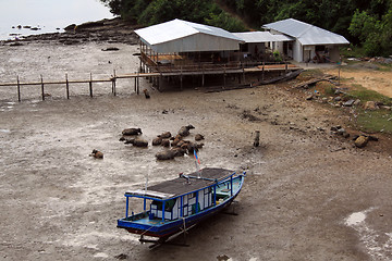 Image showing Low tide