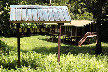 Image showing Niah national park