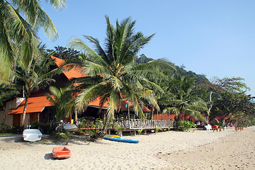 Image showing Palm trees and beach