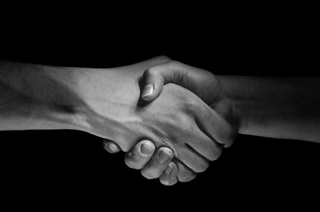 Image showing Hands unite with eachother as deal agreement