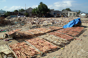 Image showing Dry fish