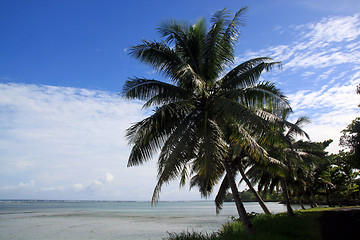 Image showing Coast