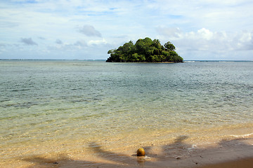 Image showing Beach and coconut