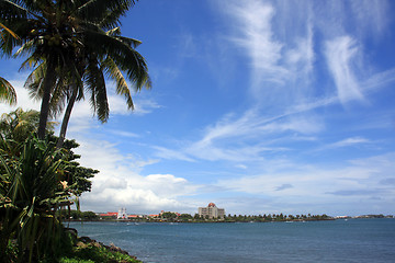 Image showing Palm tree and Apia