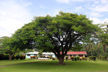 Image showing House under tree