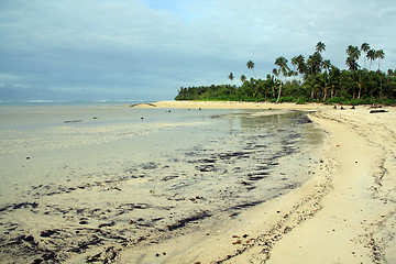 Image showing Low tide