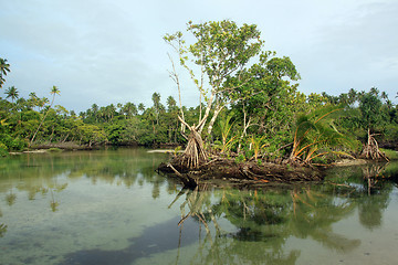 Image showing River