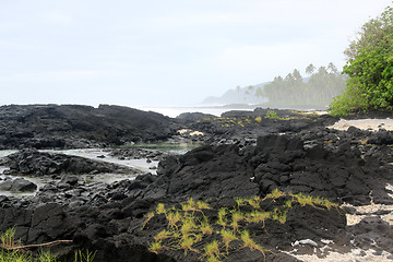 Image showing Lava