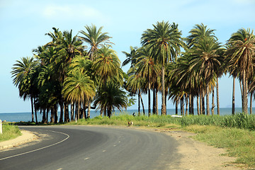 Image showing Road