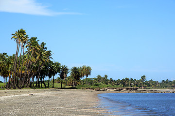 Image showing Beach