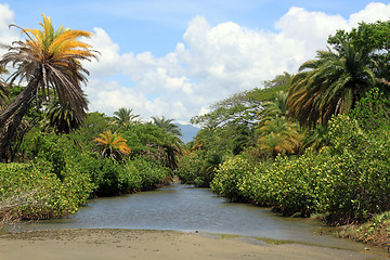 Image showing River