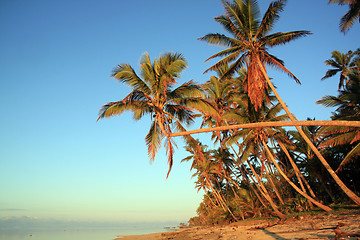 Image showing Beach