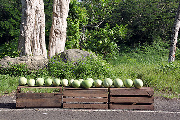 Image showing Watermelons