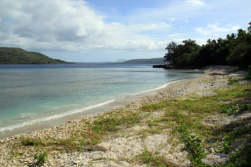 Image showing Grass on the beach