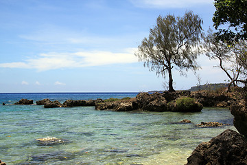 Image showing Beach