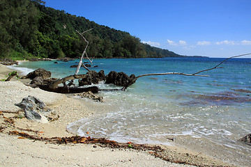 Image showing On the beach