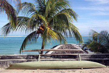 Image showing Coconut tree and boat