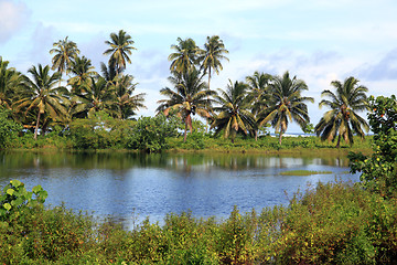 Image showing Lake and palm trees