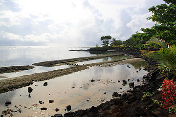Image showing Low tide