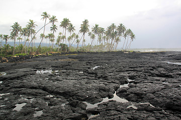 Image showing Lava field