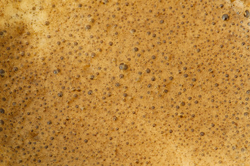 Image showing Cream of coffee