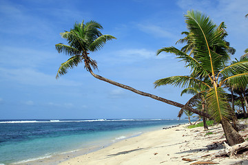 Image showing Beach