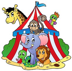 Image showing Various animals in circus tent