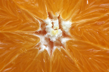 Image showing Fresh juicy orange