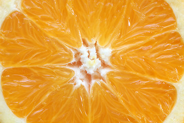 Image showing Fresh juicy orange