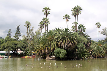 Image showing Lake