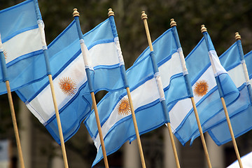 Image showing Argentinian flags