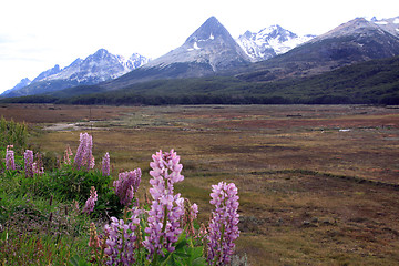 Image showing Mountain