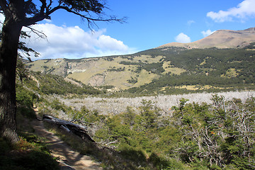 Image showing Footpath