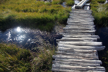 Image showing River and grass