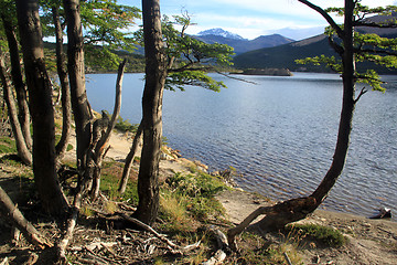 Image showing Forest and lake