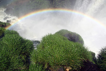 Image showing Grass and rainbow