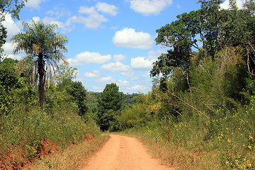 Image showing Red dust